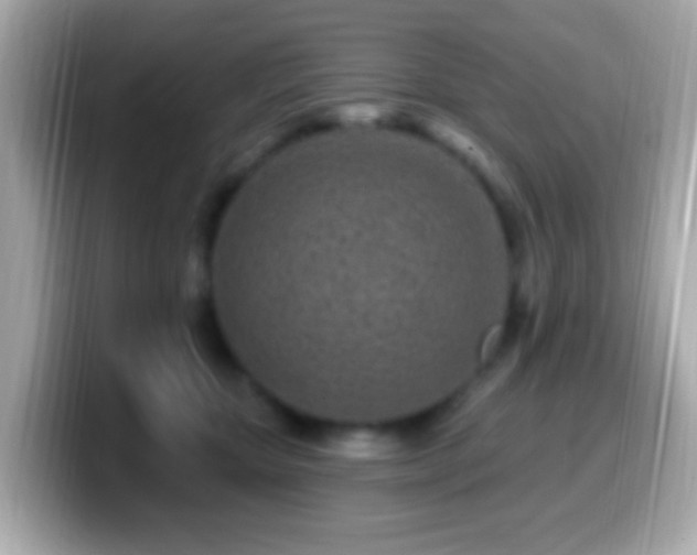 X0000099960467200805231344