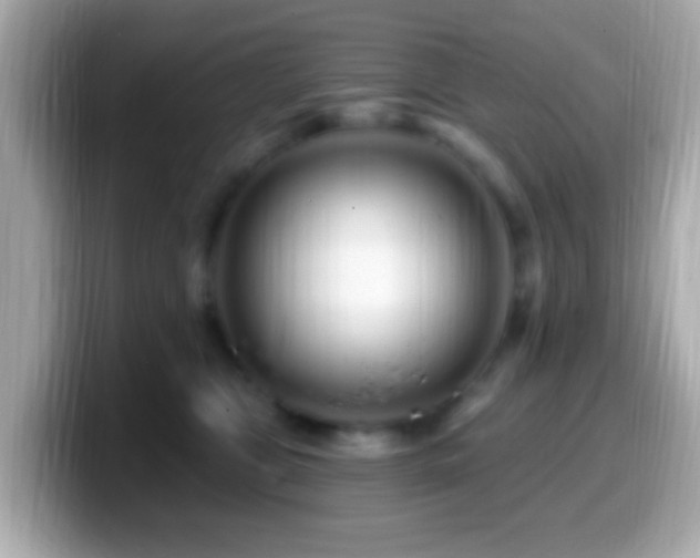 X0000099960469200805231344