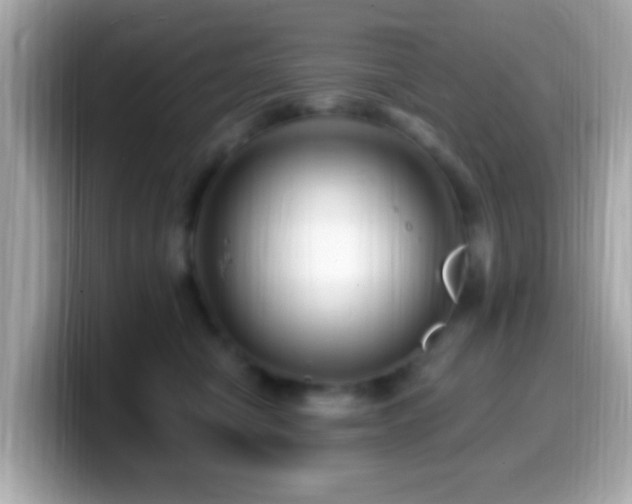 X0000099960470200805231344