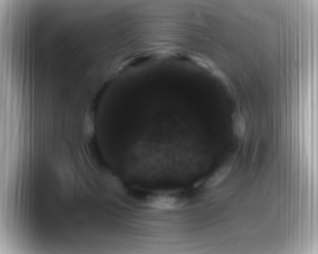 X0000099960471200805231344