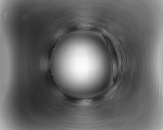 X0000099960474200805231344
