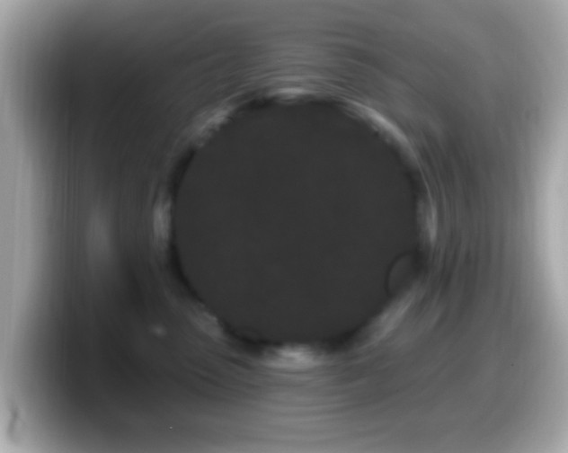 X0000099960475200805231344