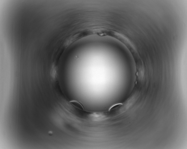 X0000099960477200805231344