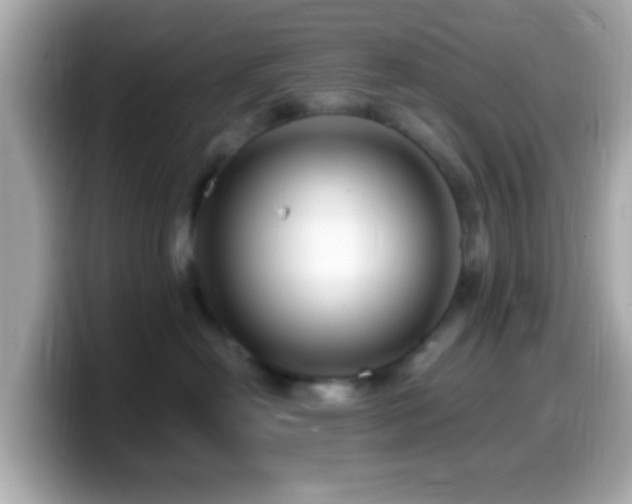 X0000099960478200805231344