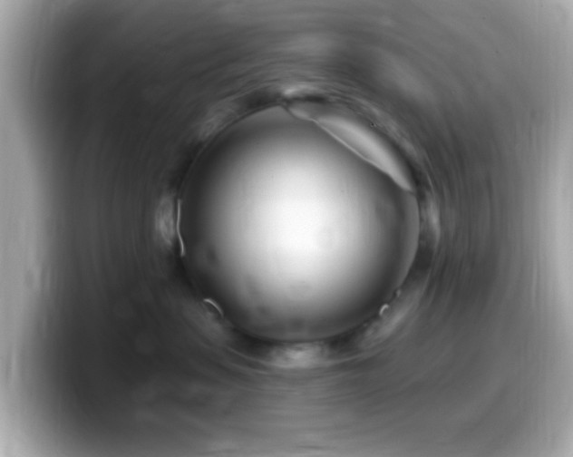 X0000099960479200805231344