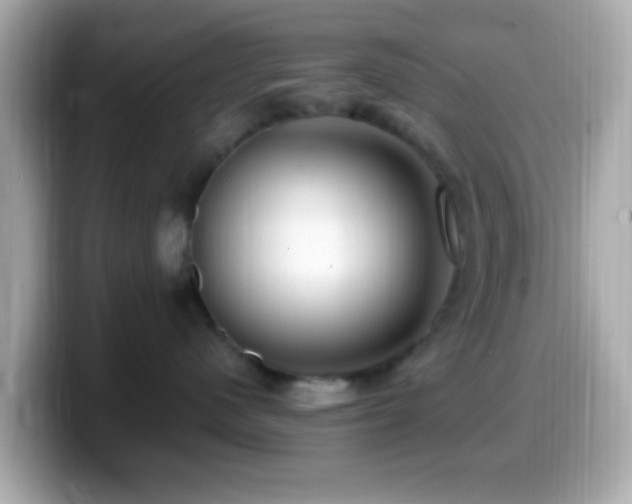 X0000099960480200805231344