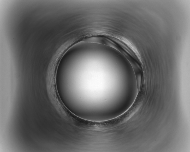 X0000099960481200805231344