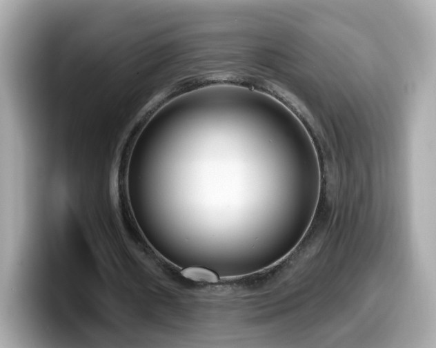 X0000099960482200805231344