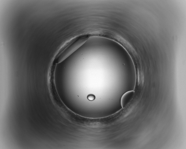 X0000099960483200805231344
