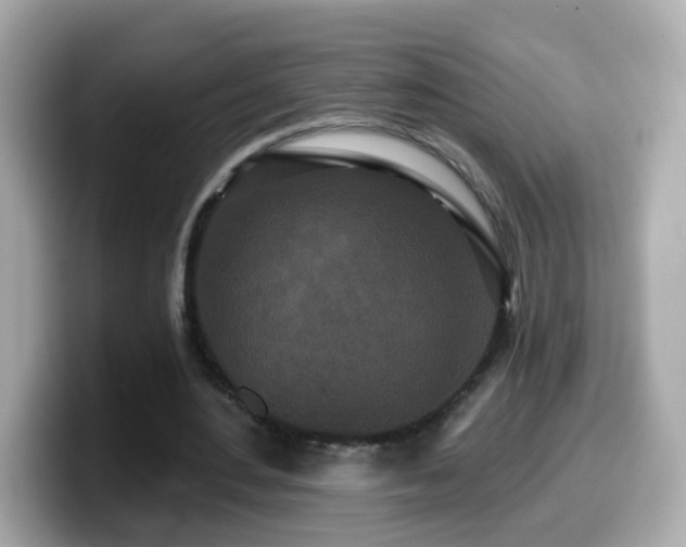 X0000099960484200805231344