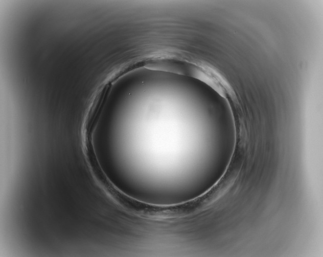X0000099960485200805231344
