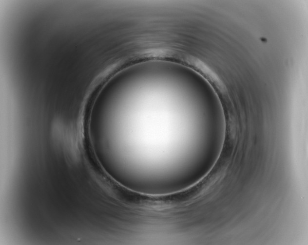 X0000099960486200805231344