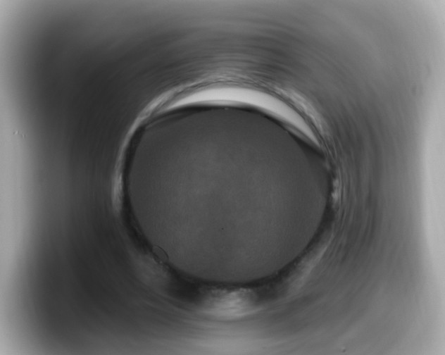 X0000099960488200805231344