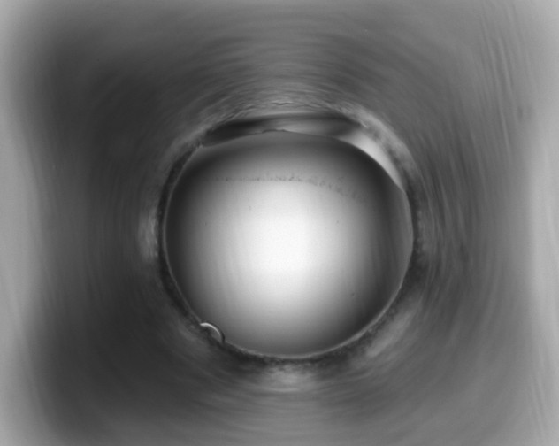 X0000099960489200805231344