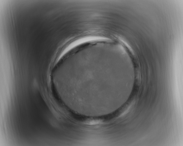 X0000099960491200805231344