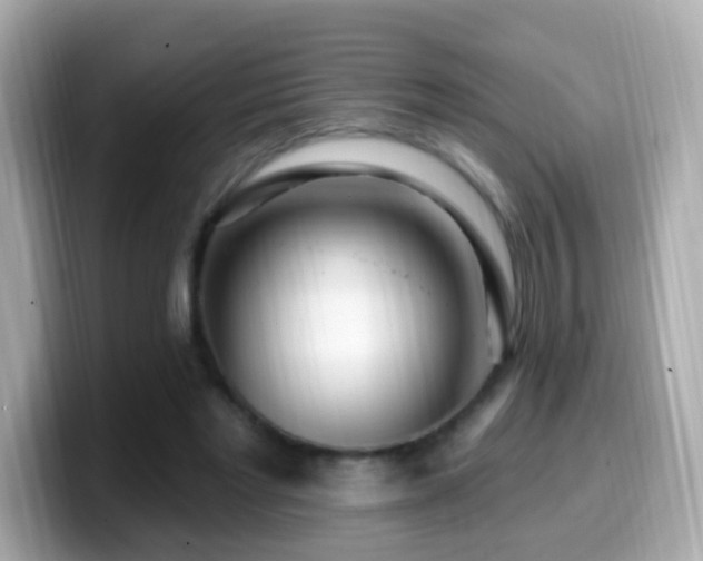 X0000099960493200805231344