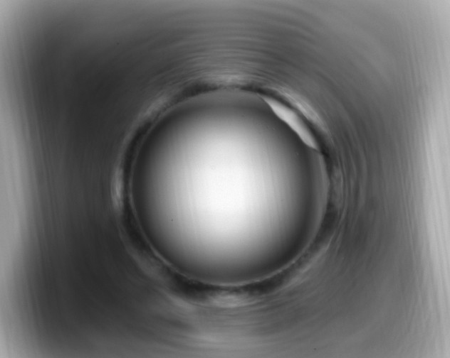 X0000099960494200805231344