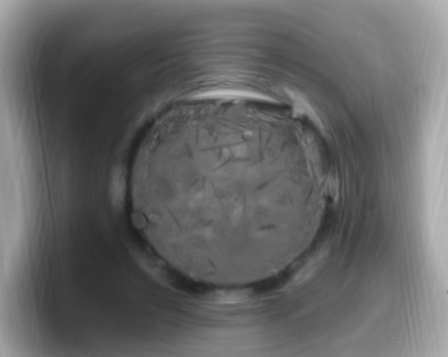 X0000099960495200805231344