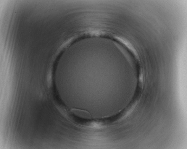 X0000099960496200805231344