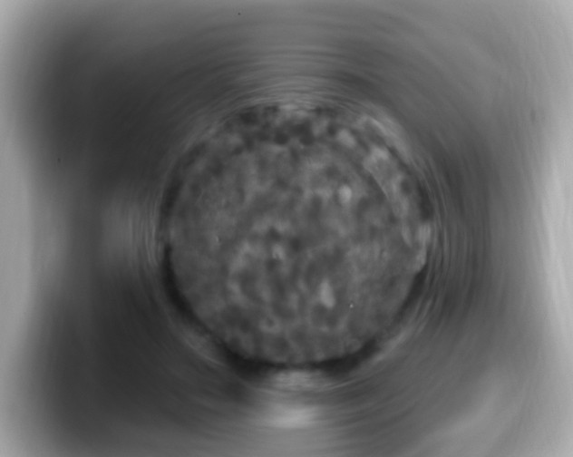 X0000099960499200805231344