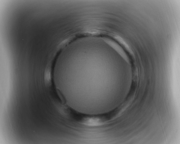 X0000099960500200805231344