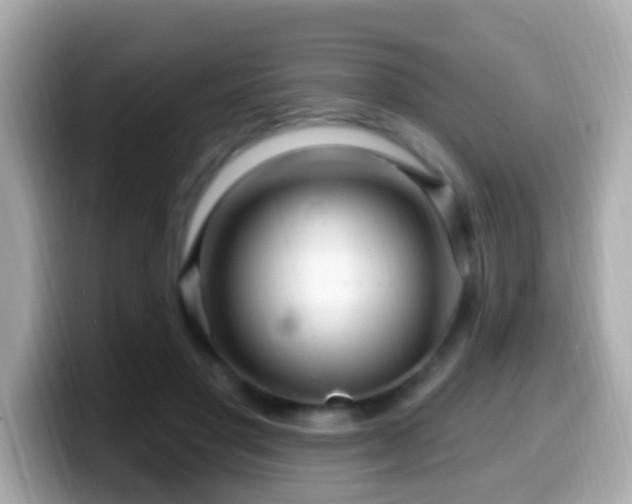 X0000099960501200805231343