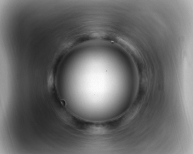 X0000099960502200805231343