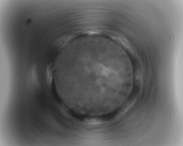 X0000099960503200805231343