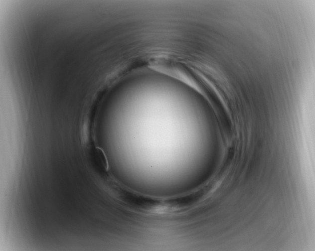 X0000099960504200805231343