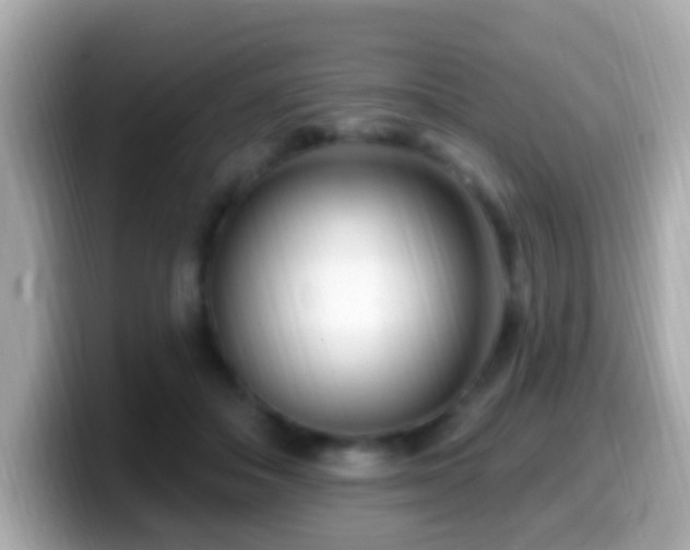X0000099960506200805231343