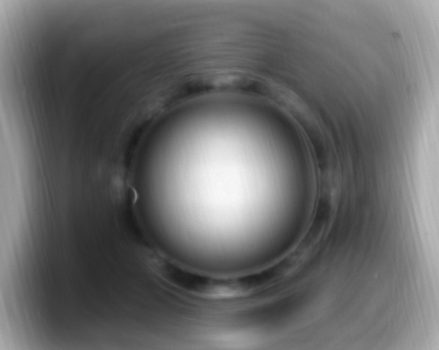 X0000099960510200805231343