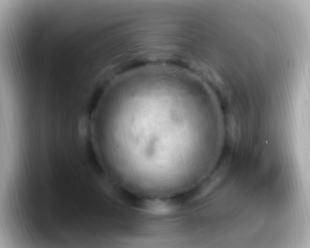 X0000099960511200805231343