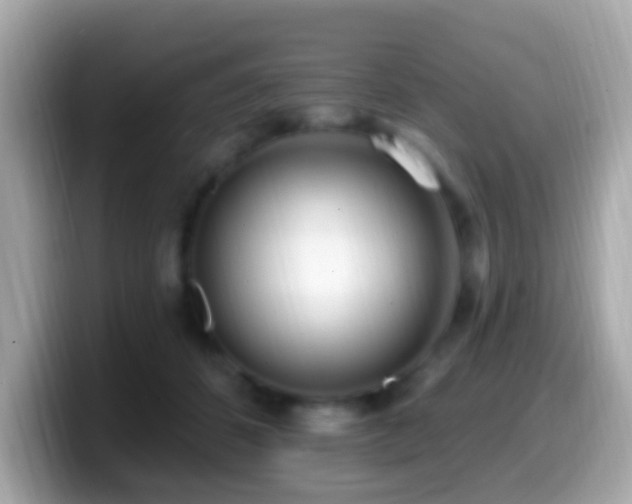 X0000099960512200805231343