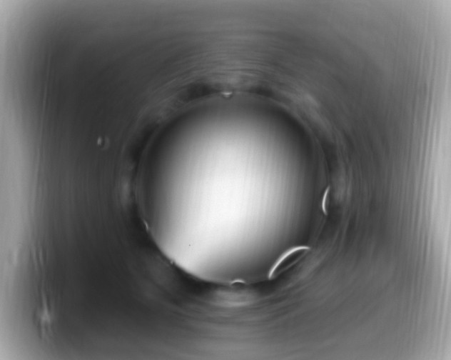 X0000099960515200805231343