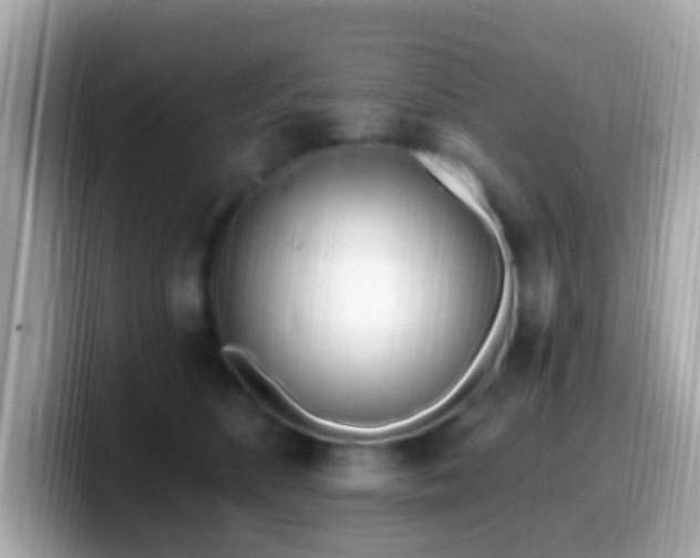 X0000099960516200805231343
