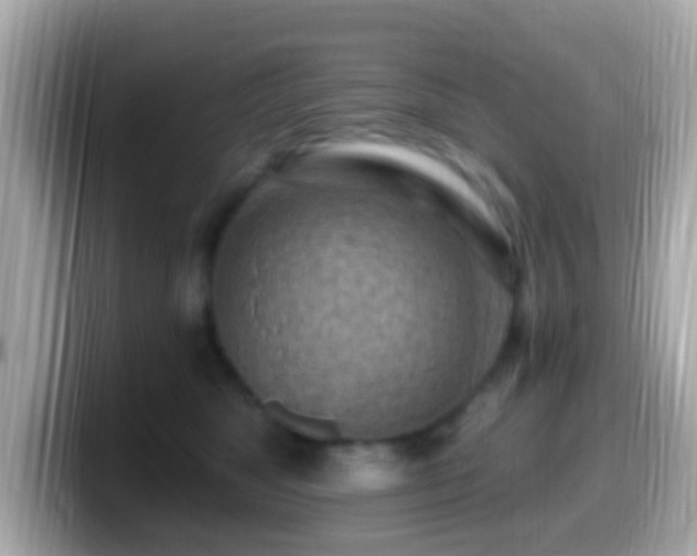 X0000099960517200805231343