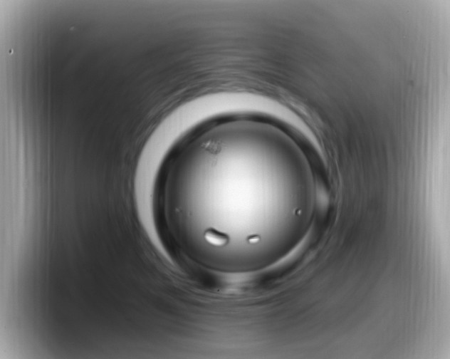X0000099960521200805231343