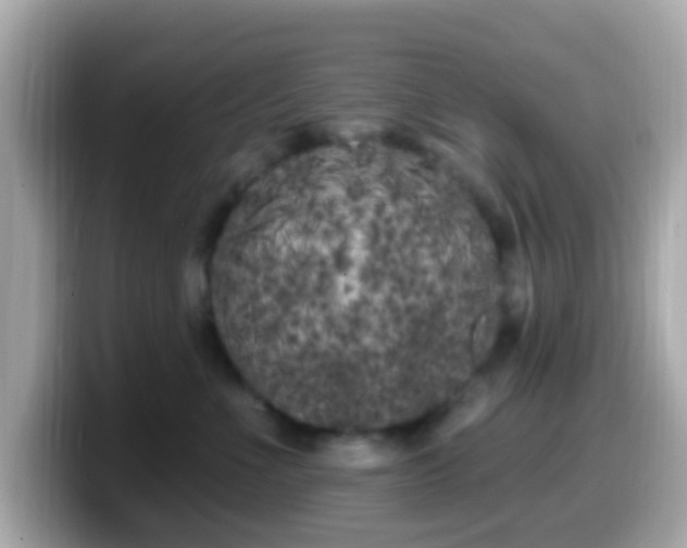 X0000099960523200805231343