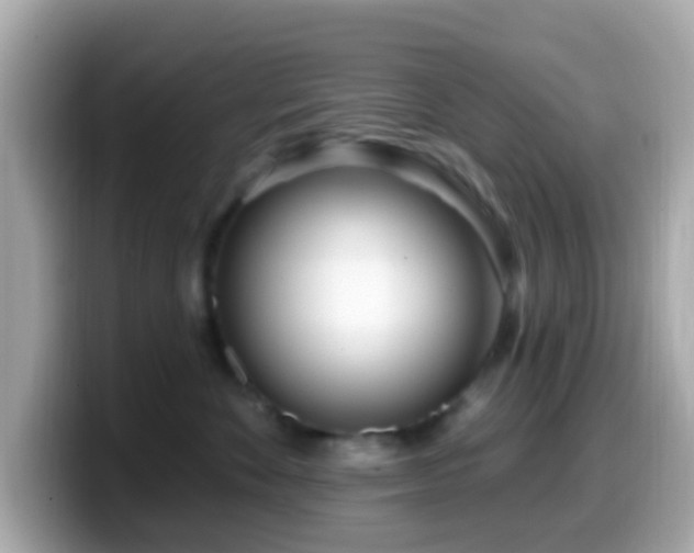 X0000099960524200805231343