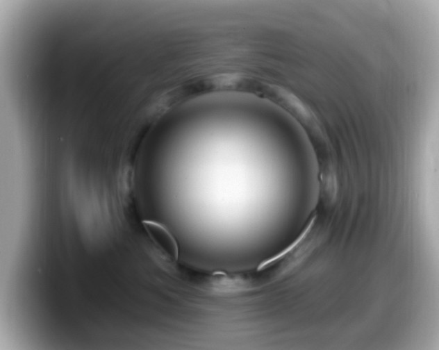 X0000099960525200805231343