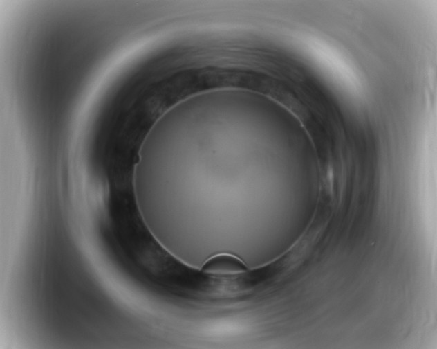 X0000099960526200805231343