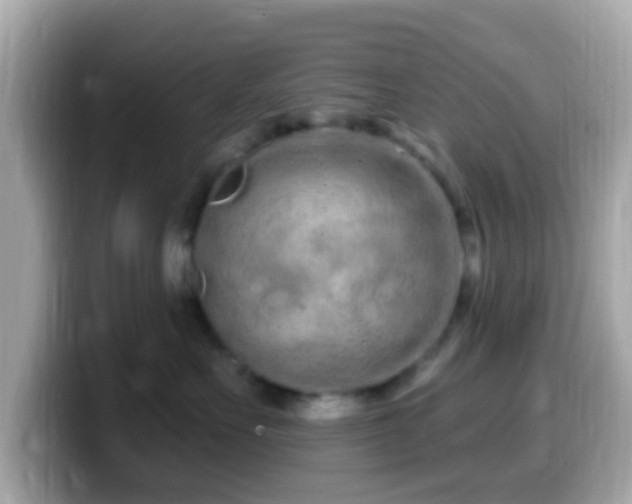 X0000099960527200805231343