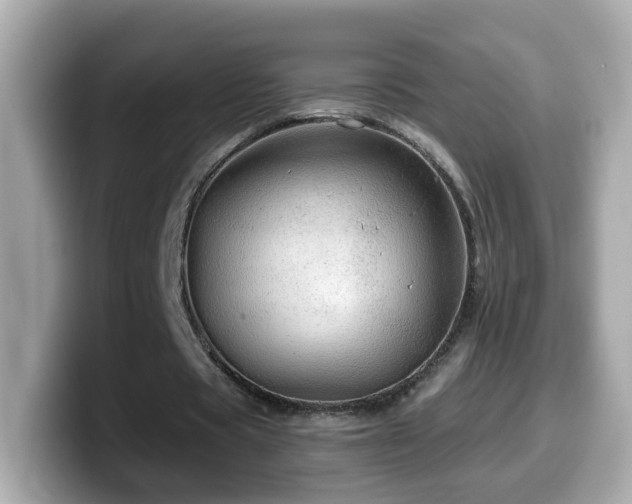 X0000099960529200805231343
