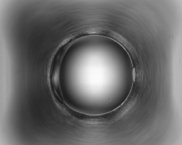 X0000099960530200805231343