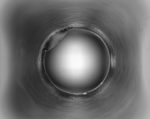 X0000099960531200805231343