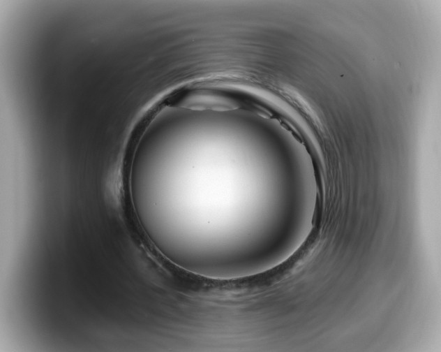 X0000099960532200805231343