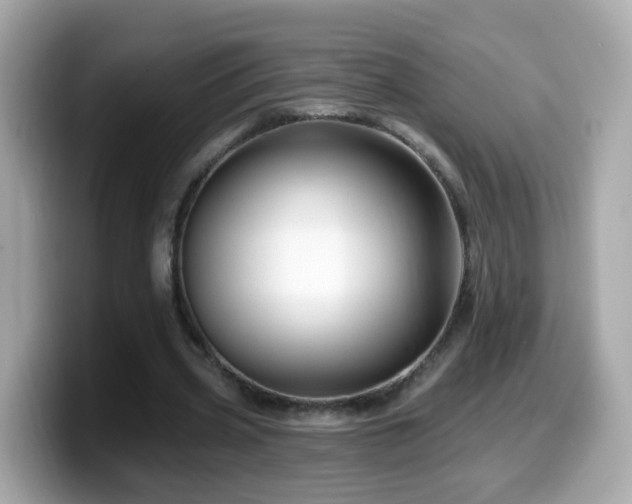 X0000099960533200805231343
