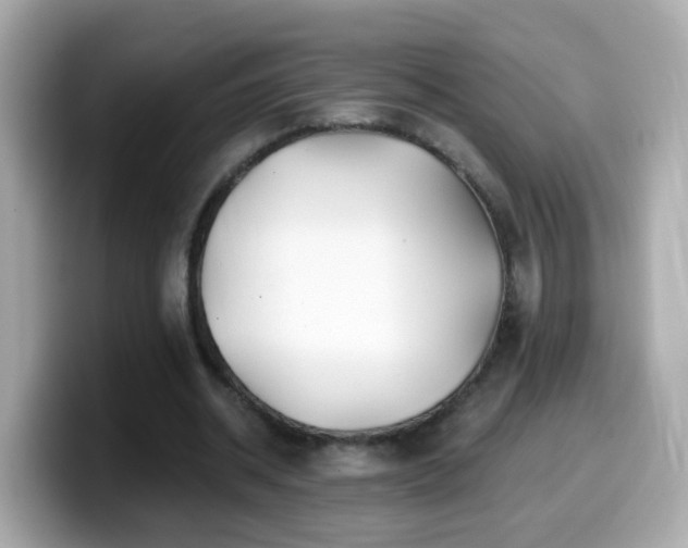 X0000099960534200805231343