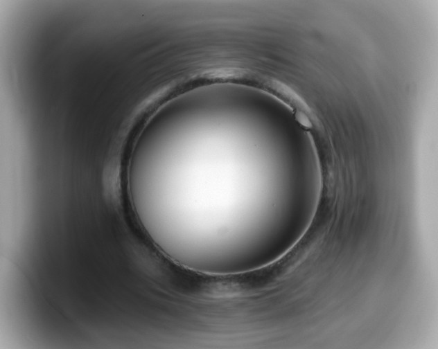 X0000099960535200805231343