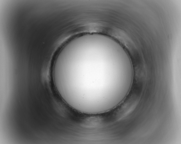 X0000099960536200805231343